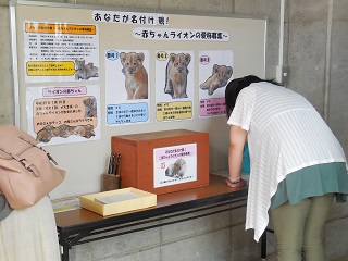 愛称を募集する来園者の写真