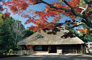 写真:彦部家住宅