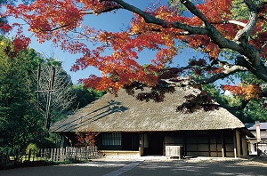 写真：彦部家住宅