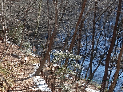 写真:日向日陰で雪の残り具合が違う園内