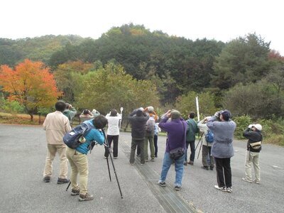 写真:まだ紅葉の残る森で、鳥の声を頼りに野鳥を探す参加者たち