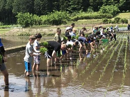 写真：田植えを通じて交流する小学生