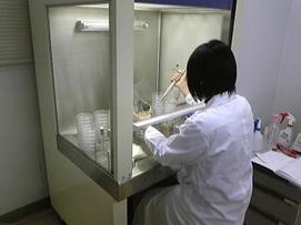 写真:白衣を着た女性がピペットに採った細菌検査している様子