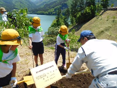 写真：植樹祭の様子