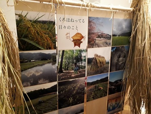 くろほね100景の展示の写真