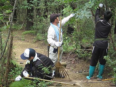 写真：高校生による枝切り作業