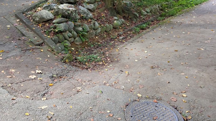 落ち葉だらけになってしまった園路の写真