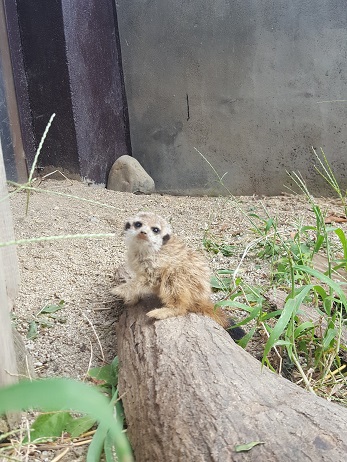 赤ちゃんの写真