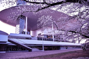 テーマ5の最優秀作品：市民文化会館と桜