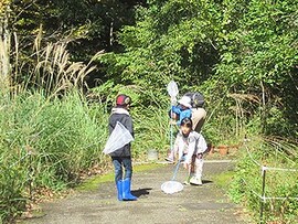 写真：虫網で虫をつかまえている子供たち