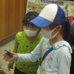 写真：カブトムシをもっている子供
