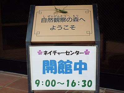 写真:看板にのるオオカマキリ