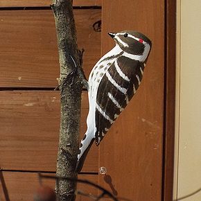 写真:木彫りのコゲラ