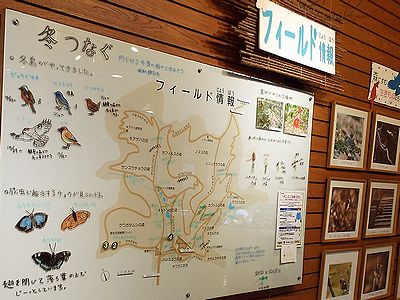 写真:手描きのイラストが楽しいホワイトボード