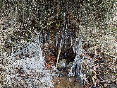 写真:友の会の水辺にできた氷の柱