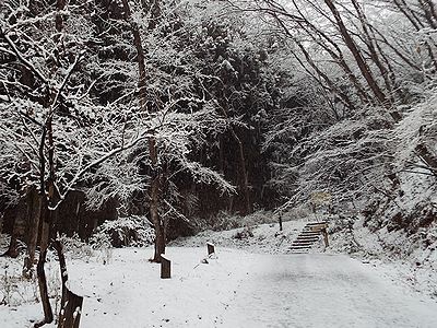 写真:園路に雪が積もったさくらのみち