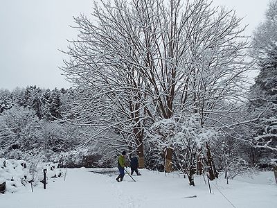 写真:センター前の雪かき