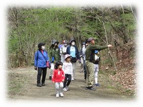写真：レンジャーが案内して里山の生きものを探す