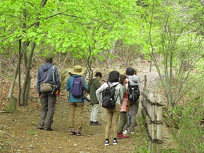 写真:新緑の園内を鳥を探しながら歩く参加者達