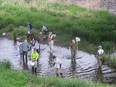 写真:川に長靴ではいり、網を川に入れている参加者たち
