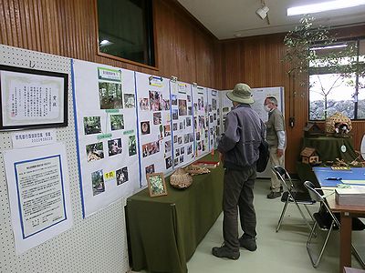 写真:活動写真やクラフト作品