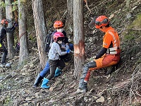 写真：間伐をしている様子