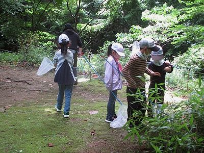 写真:網を持って虫を探す子供たち