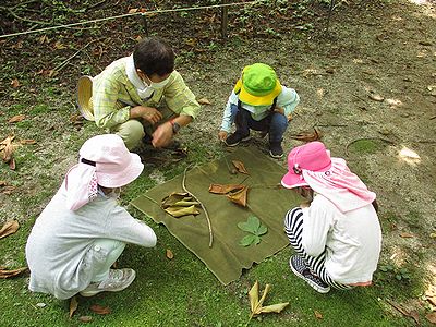 写真:形や色の違う葉をみんなで観察