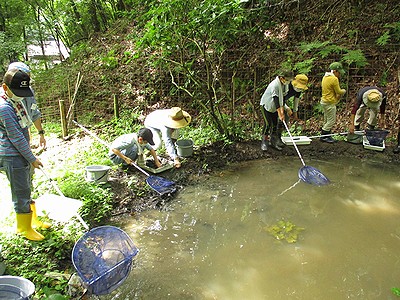 写真:池に網を入れ生きものを探す子供たち