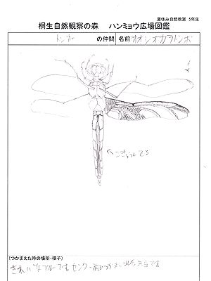 写真:細かい羽の模様を描いたスケッチ作品