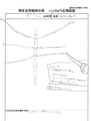 写真:足の先まで描いたスケッチ作品