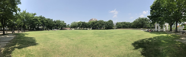 写真：新川公園