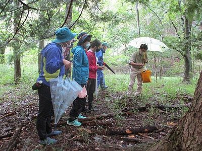 写真:木の周辺に生えるキノコを観察する参加者