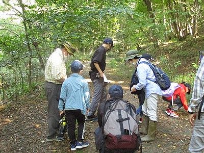 写真:しゃがんで虫を探す参加者達