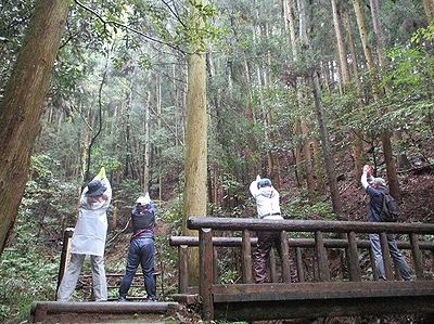 写真:平らな橋の上に並んでストレッチをする参加者