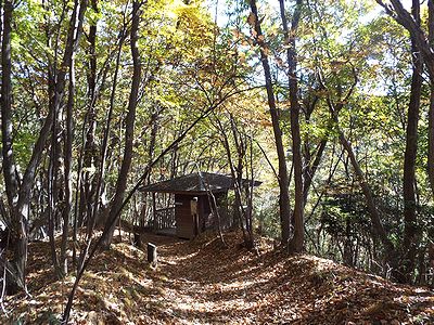 写真：落ち葉の積もった園路