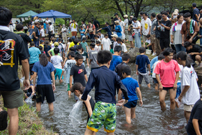 くろほね夏まつり　マスのつかみどりの写真