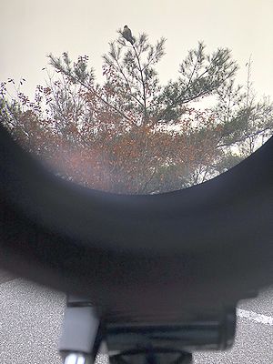 写真:フィールドスコープの接眼レンズを通して見える風景を撮影した