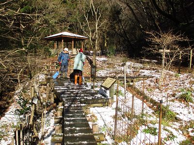 写真:木道の上の雪をおろす職員たち