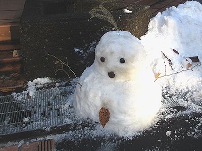 写真:木の実、落ち葉、枝で飾った雪だるま