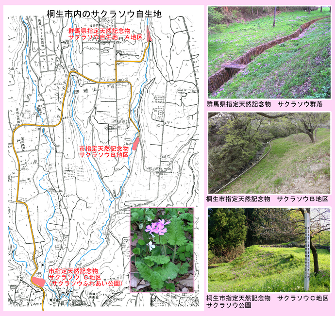 写真：県指定・市指定地区