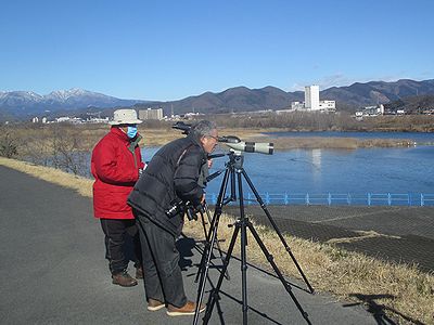 写真:渡良瀬川の土手からスコープをのぞく参加者