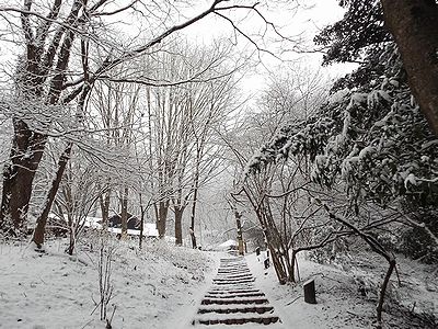 写真:センターへの階段につもった雪