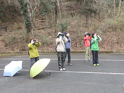 写真:双眼鏡で野鳥を探す参加者