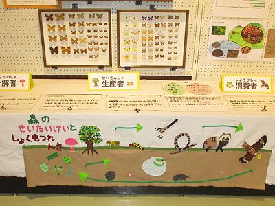 写真:食べて食べられる生態系の様子を表した図とクイズボード