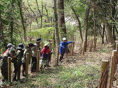 写真:柵に囲まれた移植地で説明を聞く参加者たち