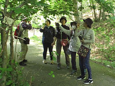 写真:触覚や嗅覚など五感を使って園内散策をする参加者