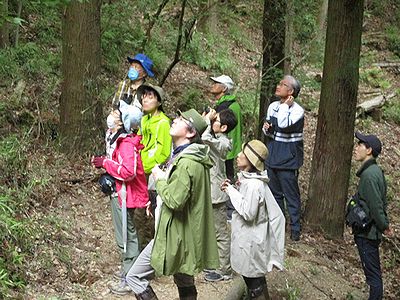 写真:双眼鏡を手に鳥をさがす参加者たち