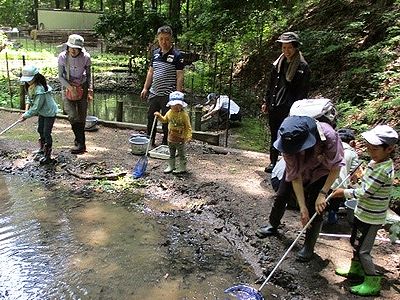 写真:池に網を入れて生きものを探す親子