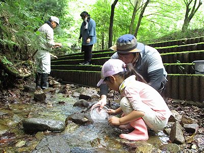 写真:ざるを川の流れに入れ石の下の生きものを集める参加者